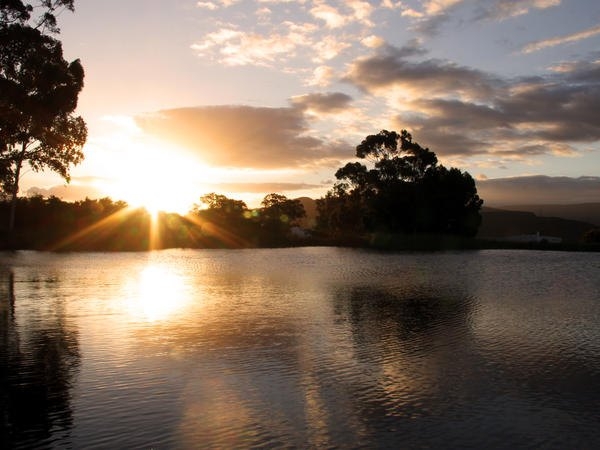 Tanagra Wine and Guestfarm Dam