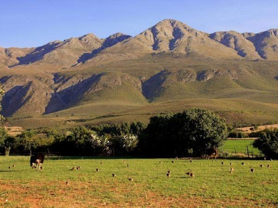 Swartberg Country Manor Views