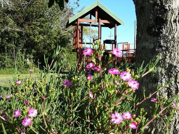 Teniqua Treetops Playground