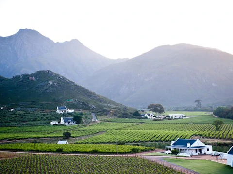 Orange Grove Farm Robertson