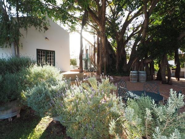 Tanagra Wine and Guestfarm Accommodation