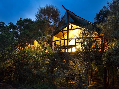 Teniqua Treetops Glamping Suite