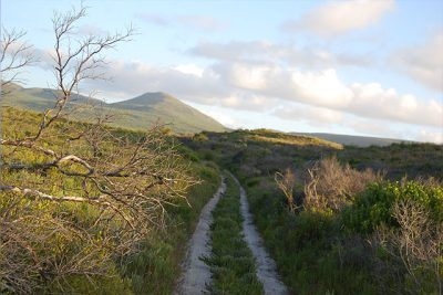 Fairhill Nature Reserve walks and hikes