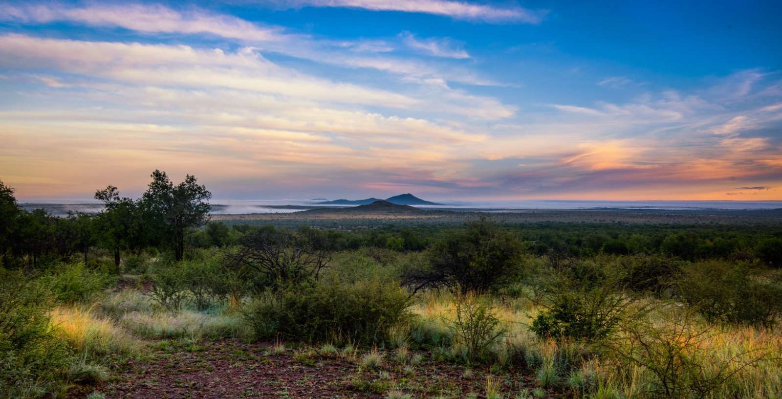 Lush Private Game Lodge Plains