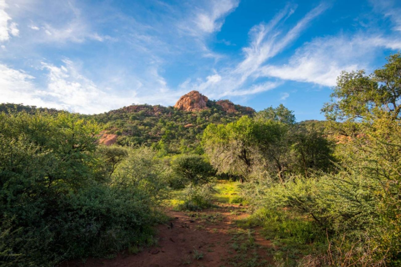 Lush Private Game Lodge Surrounds