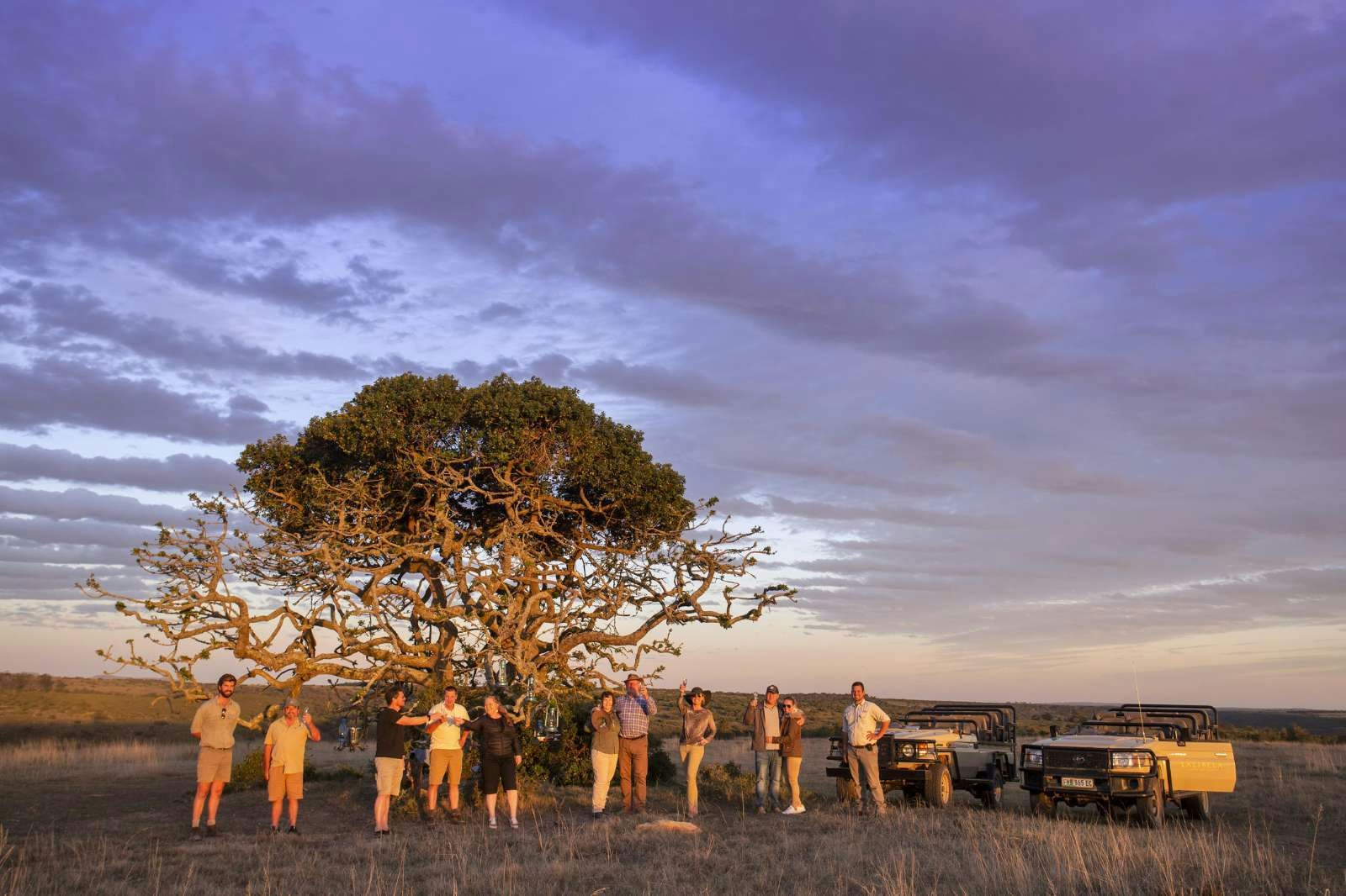 Lalibela Game Reserve Tree Tops Sundowners