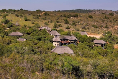 Lalibela Game Reserve Tree Tops