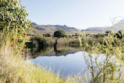 Dam in Banghoek Nature Reserve